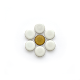 Individual Penny Round Daisy (2.4" x 2.4") No. 1 Lily Gloss