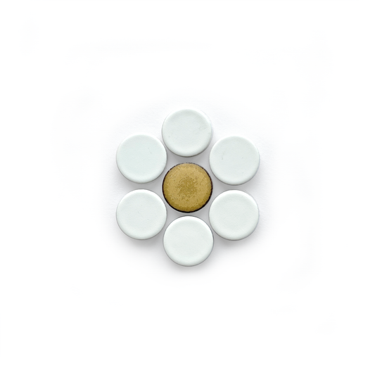 Individual Penny Round Daisy (2.4" x 2.4") No. 7 Lily Matte